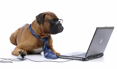 hond met laptop